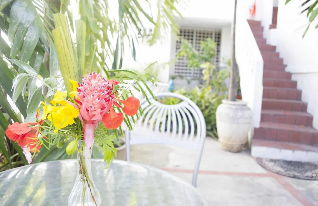 Mango Mansion - International Hostel-1